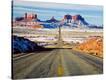 Stretched Canvas Print