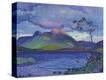 Stretched Canvas Print