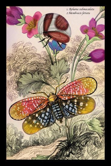 Art Print, , large