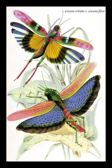 Art Print, , large