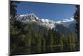 Photographic Print