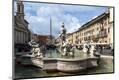 Photographic Print