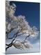 Premium Photographic Print