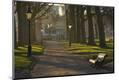Photographic Print