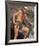 James Franciscus, Beneath the Planet of the Apes (1970)-null-Framed Photo