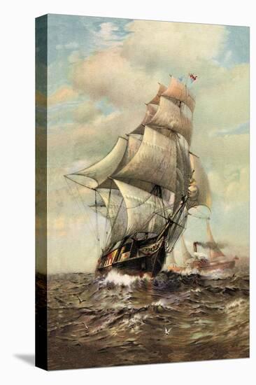 Stretched Canvas Print, , large