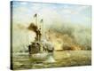 Stretched Canvas Print