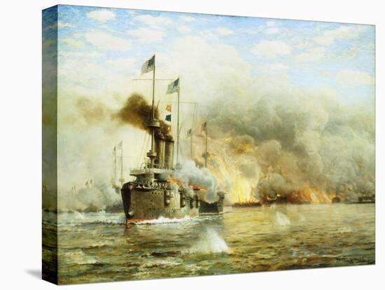 Stretched Canvas Print, , large