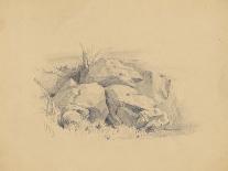 Rocks, 1839-James Goodwin Clonney-Premier Image Canvas