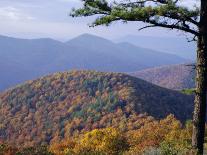 Autumn Forest Landscape Near Loft Mountain, Shenandoah National Park, Virginia, USA-James Green-Photographic Print