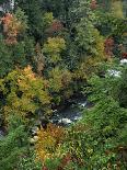 Autumn Forest Landscape Near Loft Mountain, Shenandoah National Park, Virginia, USA-James Green-Photographic Print