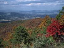 Autumn Forest Landscape Near Loft Mountain, Shenandoah National Park, Virginia, USA-James Green-Photographic Print