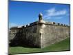 Photographic Print