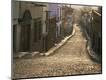 Photographic Print