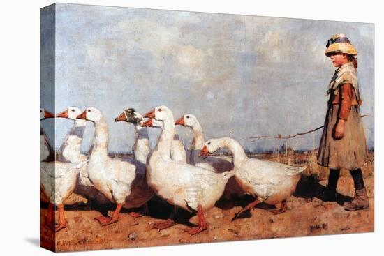 Stretched Canvas Print, , large