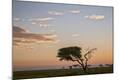 Photographic Print