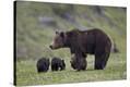 Stretched Canvas Print