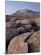Photographic Print