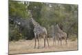 Photographic Print