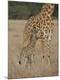 Premium Photographic Print
