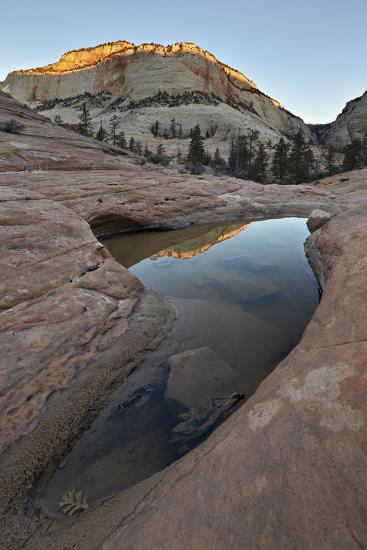 Photographic Print, , large