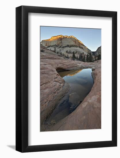 Photographic Print, , large