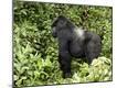 Premium Photographic Print