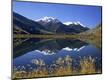 Photographic Print