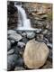 Photographic Print