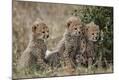 Photographic Print