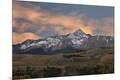 Photographic Print