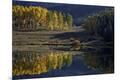 Premium Photographic Print