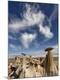 Photographic Print