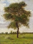 Study of an Ash Tree in Summer, 1883-James Hey Davies-Giclee Print