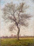 Study of an Ash Tree in Summer, 1883-James Hey Davies-Mounted Giclee Print