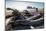 James Island and driftwood on the beach at La Push on the Pacific Northwest, Washington State, Unit-Martin Child-Mounted Photographic Print