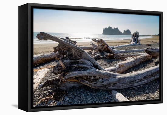 James Island and driftwood on the beach at La Push on the Pacific Northwest, Washington State, Unit-Martin Child-Framed Premier Image Canvas