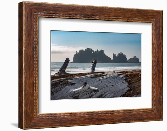 James Island with driftwood on the beach at La Push on the Pacific Northwest coast, Washington Stat-Martin Child-Framed Photographic Print