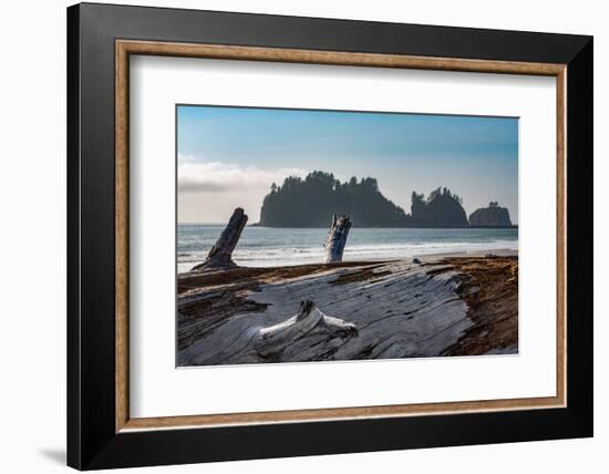 James Island with driftwood on the beach at La Push on the Pacific Northwest coast, Washington Stat-Martin Child-Framed Photographic Print