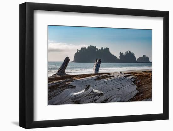 James Island with driftwood on the beach at La Push on the Pacific Northwest coast, Washington Stat-Martin Child-Framed Photographic Print