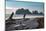 James Island with driftwood on the beach at La Push on the Pacific Northwest coast, Washington Stat-Martin Child-Mounted Photographic Print