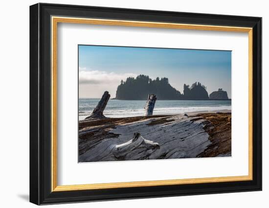 James Island with driftwood on the beach at La Push on the Pacific Northwest coast, Washington Stat-Martin Child-Framed Photographic Print