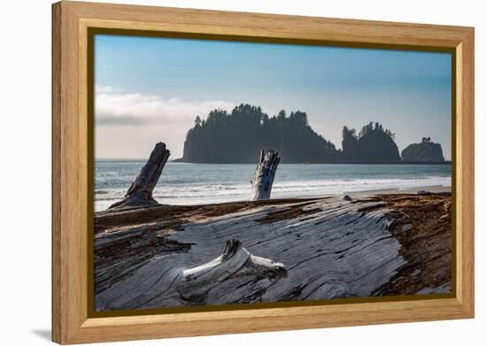 James Island with driftwood on the beach at La Push on the Pacific Northwest coast, Washington Stat-Martin Child-Framed Premier Image Canvas