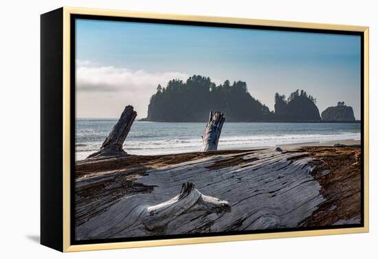 James Island with driftwood on the beach at La Push on the Pacific Northwest coast, Washington Stat-Martin Child-Framed Premier Image Canvas