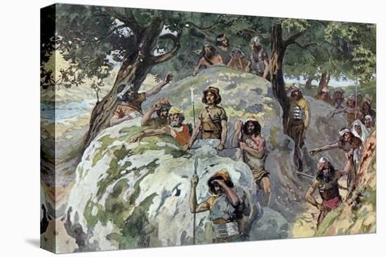 Stretched Canvas Print, , large