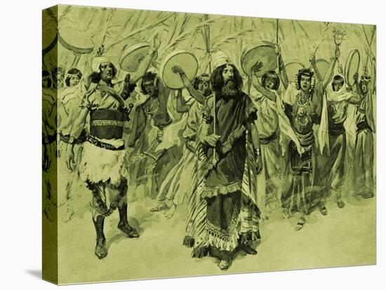 Stretched Canvas Print, , large