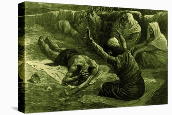 Stretched Canvas Print, , large