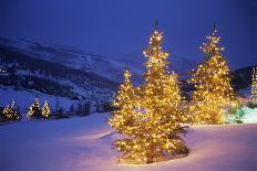 Christmas trees, Park City, Wastch Mountains, Utah-James Kay-Photographic Print
