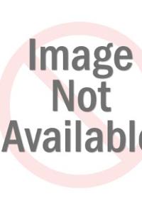 Italian Love Story by James Lee