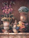 Victorian Blossoms II-James Lee-Art Print